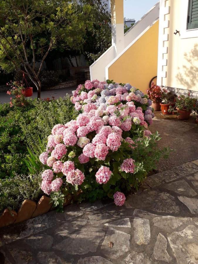 Villa Violeta 卡萨米尔 外观 照片